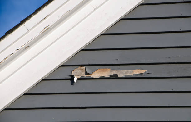 Affordable siding repair and maintenance services in Greensboro, NC